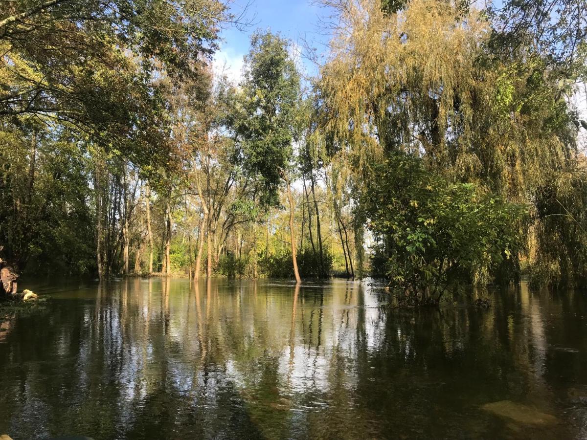 Ancien Moulin A Eau Sur La Seugne Apartamento Mosnac  Exterior foto